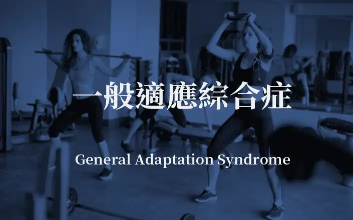 一般適應綜合症 | General Adaptation Syndrome
