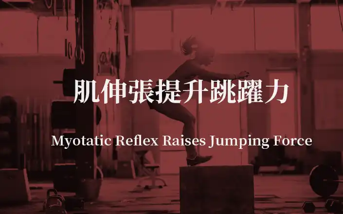 肌伸張提升跳躍力 | Myotatic Reflex Raises Jumping Force