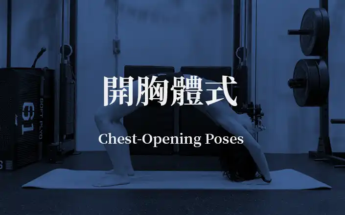 開胸體式 | Chest-Opening Poses